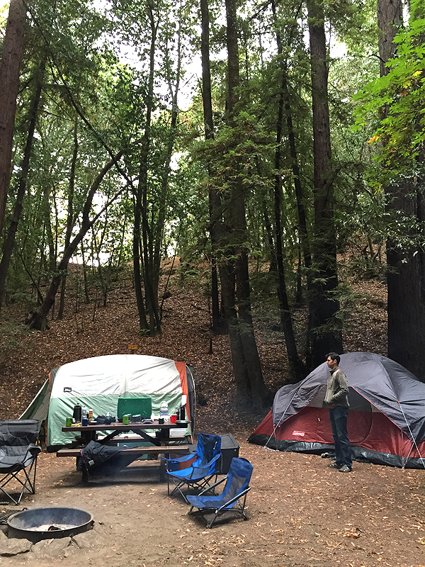 Where to camp near the Russian River: Forestville's Schoolhouse Canyon Campground