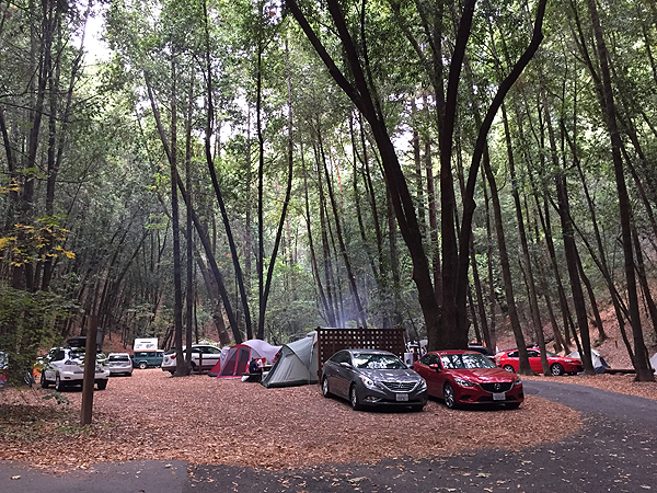 Camping in Guerneville - Forestville