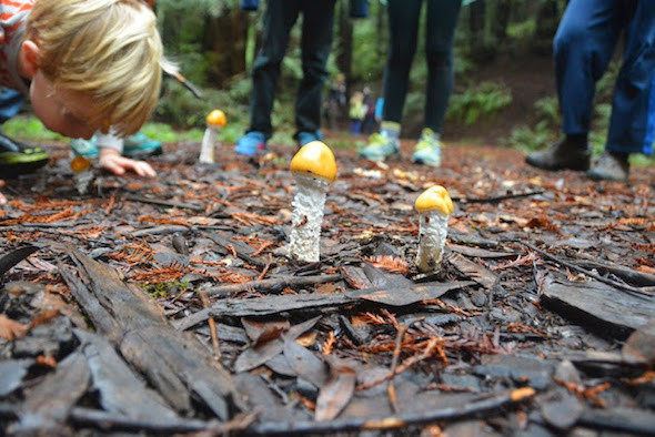 Where to go and what to do in the east bay during rain