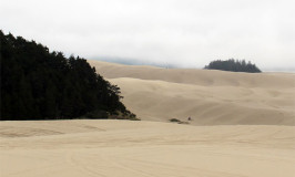 Vacation Inspiration: Oregon Coast with Kids