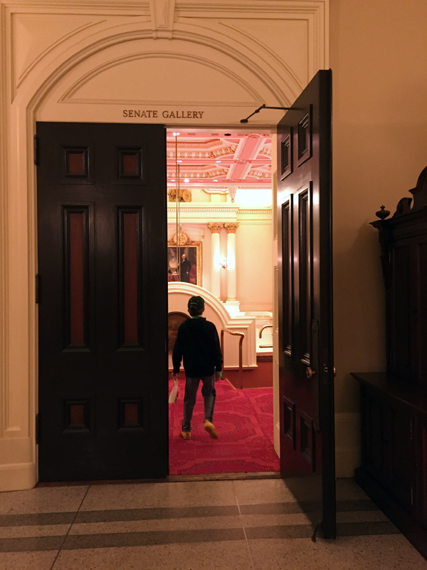 Quick getaway to the Capitol: One night in Sacramento: Senate gallery