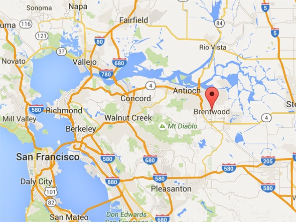 cherry picking in the Bay Area