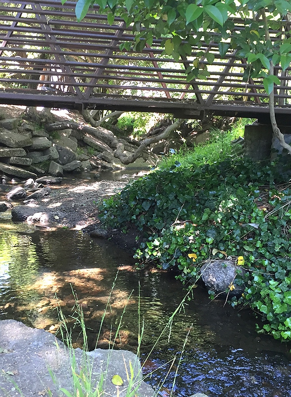 Strawberry Creek Park in Berkeley is perfect with a preschooler