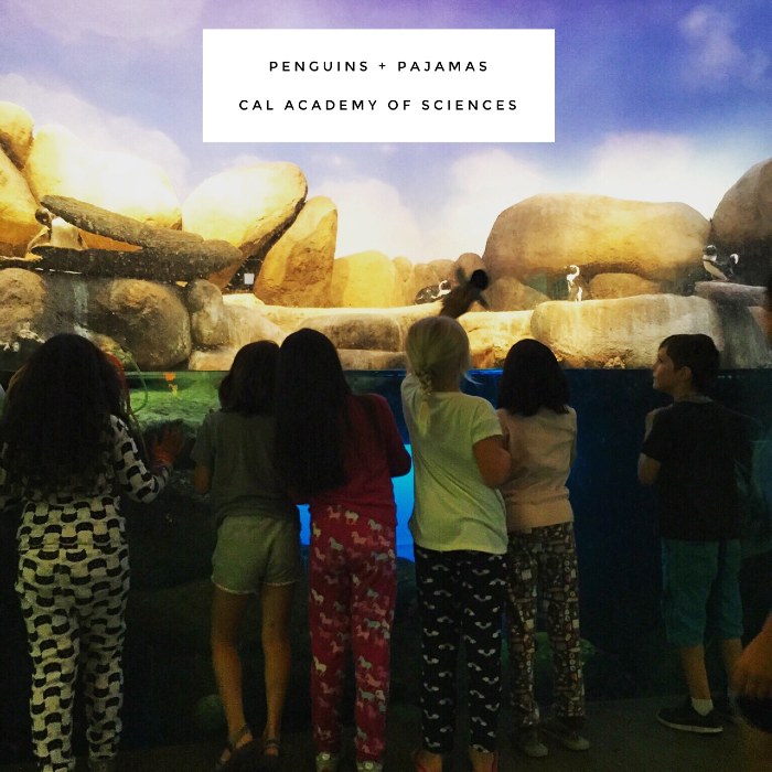 What to expect when you spend the night at the California Academy of Science