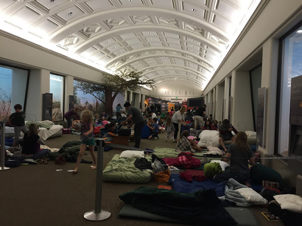 Penguins and Pajamas at Cal Academy of Sciences