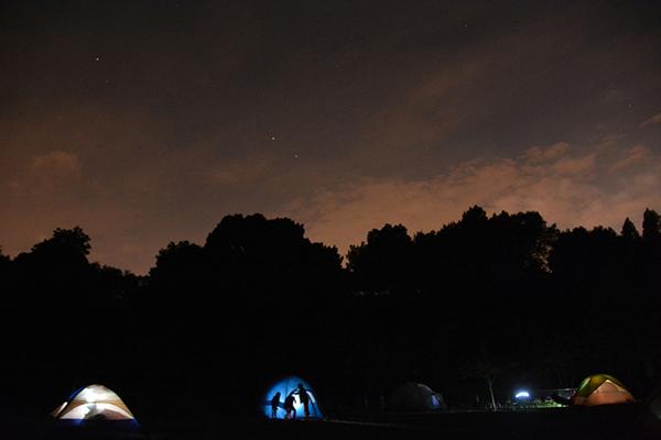 Cool Bay Area Sleepovers You Can Do With Your Child 5 Oakland Zoo sundown safari family sleepover