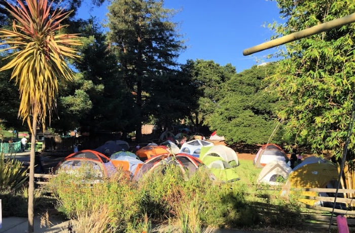 Tents on the Fairyland lawn for a sleepover