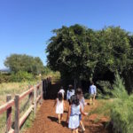 Family-friendly Napa wineries