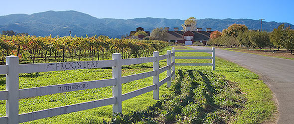 Family-friendly Napa wineries: Frogs Leap