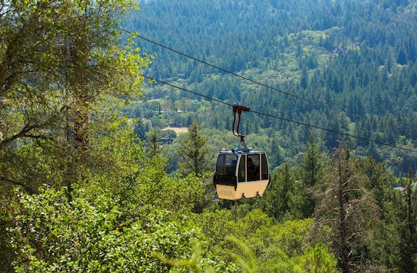 Family-friendly Napa wineries: Sterling tram