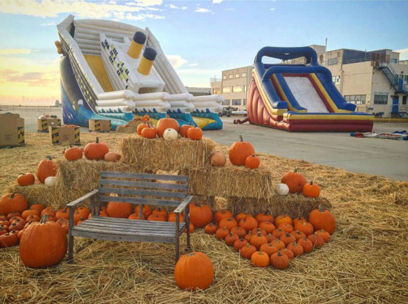 Speer Family Farms pumpkin patch at Alameda Point has hay to climb
