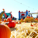 speer-pumpkin-patch