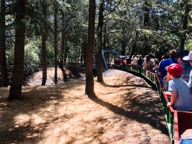 train ride in forrest