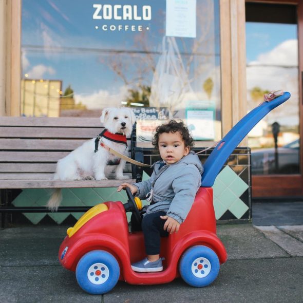 East Bay Restaurants with Kids' Play Areas 8 Zocalo