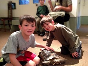 kids at sulphur creek with a turtle