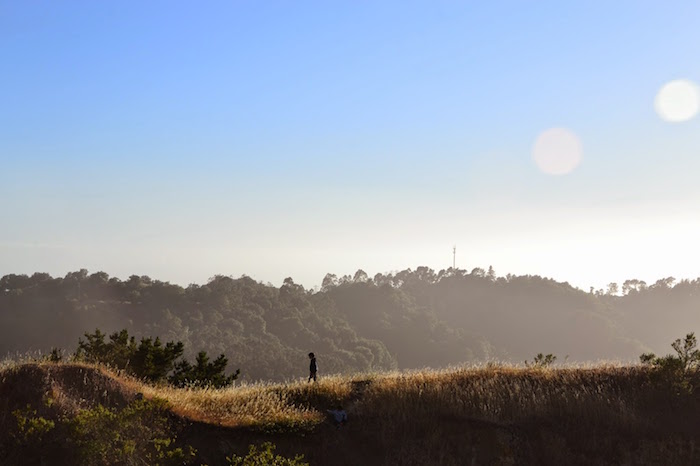 Exploring Sibley Volcanic Regional Preserve during the summer solstice