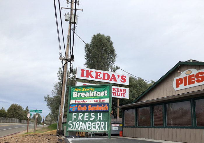 Where to Stop with Kids on the Way to Tahoe 4 Ikedas Market
