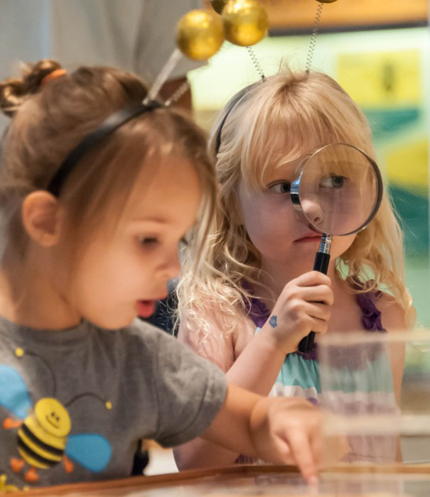 Things to Do with Kids in Walnut Creek 6 Bee Lindsay Wildlife