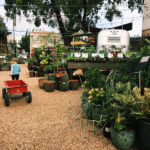 Best Places to Take Kids in Albany