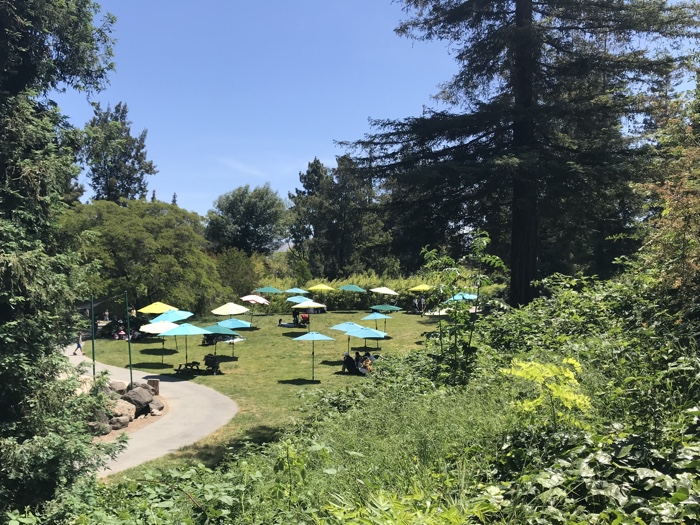 Happy Hollow Park & Zoo in San Jose: Worth the drive! 5 happy hollow picnic