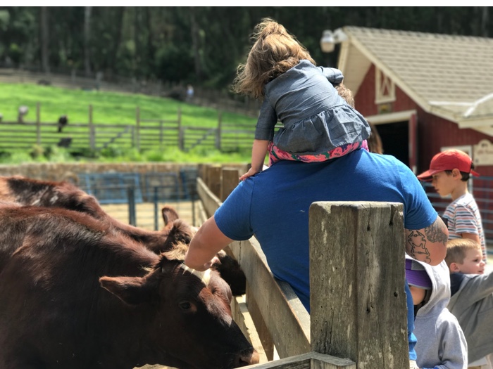 Enjoying the Little Farm in Tilden Park