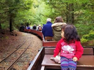 Tilden Park Steam Trains