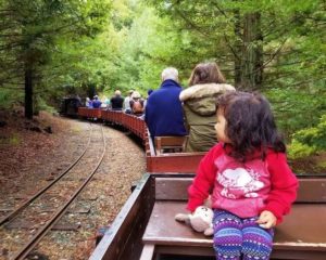 14 Super Berkeley Parks and Playgrounds 2 Tilden Park Steam Trains
