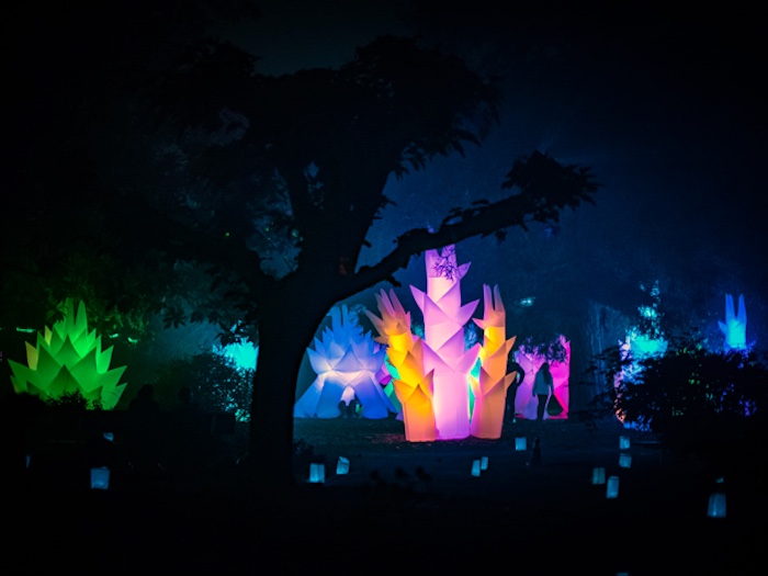 Autumn Lights Festival at Lake Merritt with light sculptures in the dark
