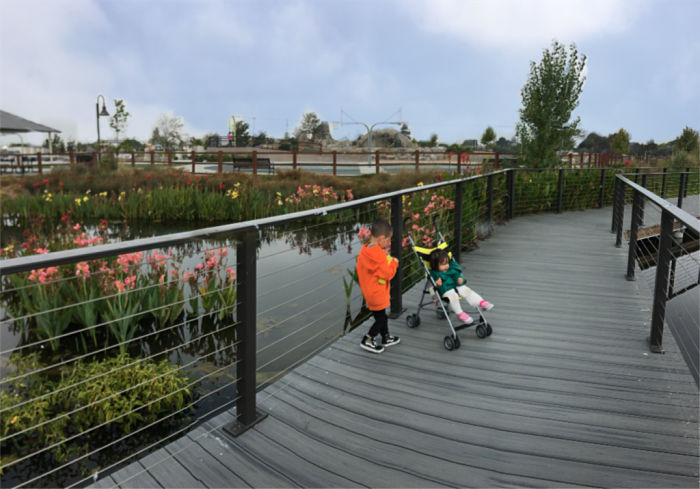 San Lorenzo Park Duck Pond Pier