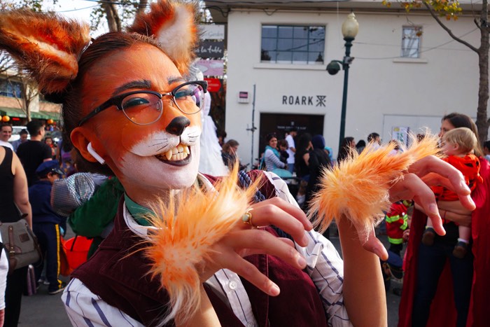 Halloween in Berkeley adult in cat facepaint with fur costume