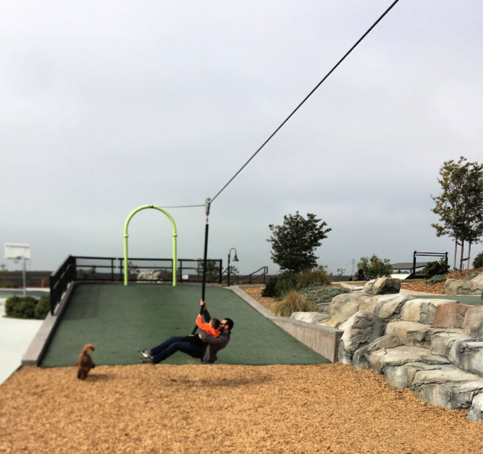 Zip Line at San Lorenzo Park (Adults and Kids can play)