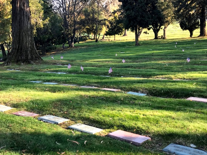20+ Ways to Volunteer with Kids in the Bay Area 9 Boy Scouts Flags at Cemetery Memorial Day
