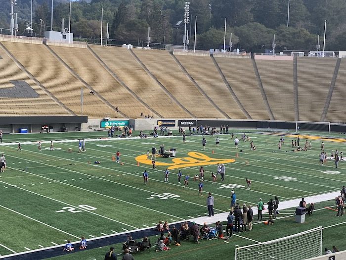 Next Level Flag Football