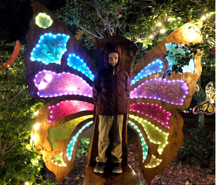 be a butterfly at Fairy Winterland