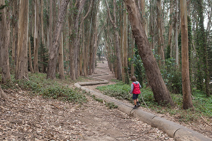 nature path big log kid