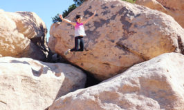 Spring Break Inspiration: Joshua Tree and Palm Springs
