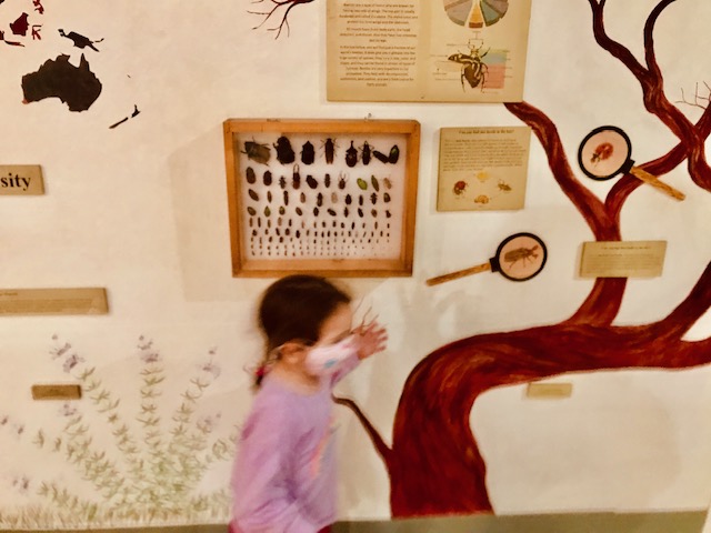child walking by science nature wall