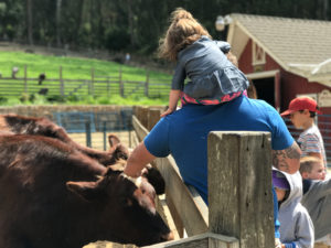Free & Cheap Activities in Tilden Regional Park