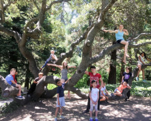 Piedmont Parks and Camps kids in a tree