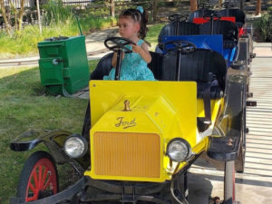 pixieland child driving
