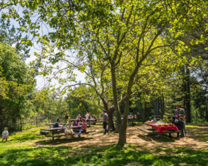 Budget Birthday Party Idea: Roberts Regional Park in Oakland
