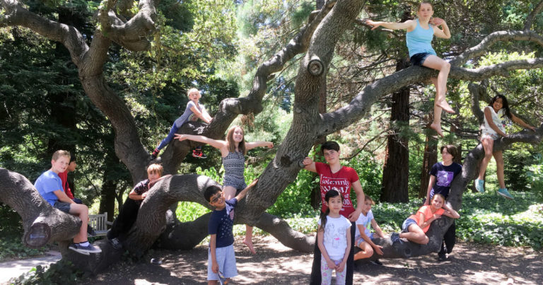 Piedmont Parks and Camps kids in a tree