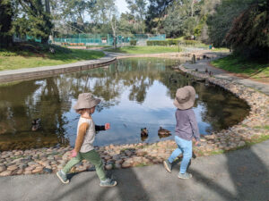 Arlington Park in El Cerrito