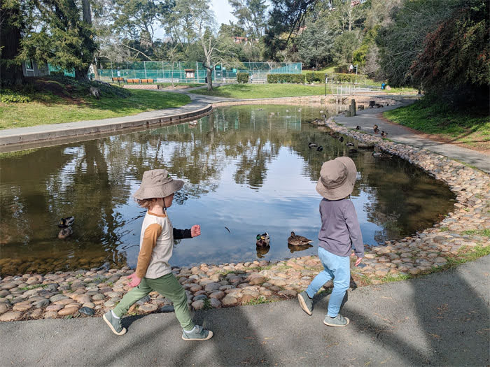 Arlington Park in El Cerrito 