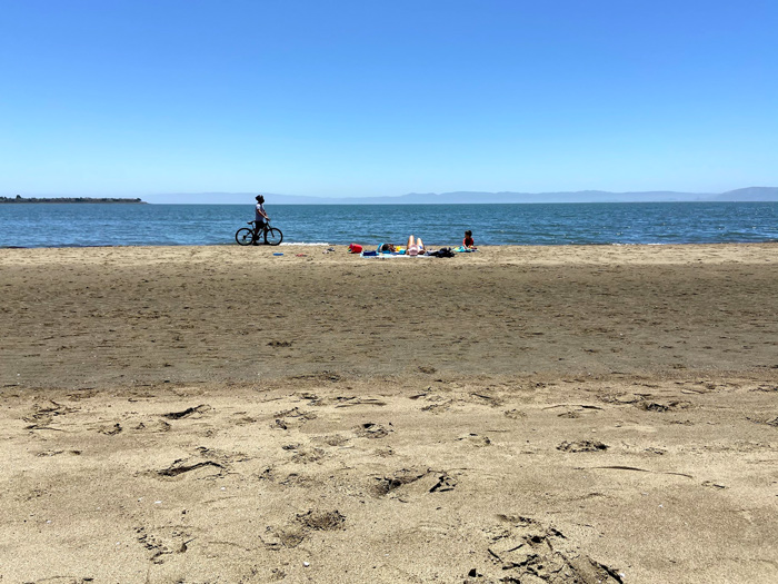 Best Alameda Beaches for Little Kids 7 Crown Beach in Alameda, CA
