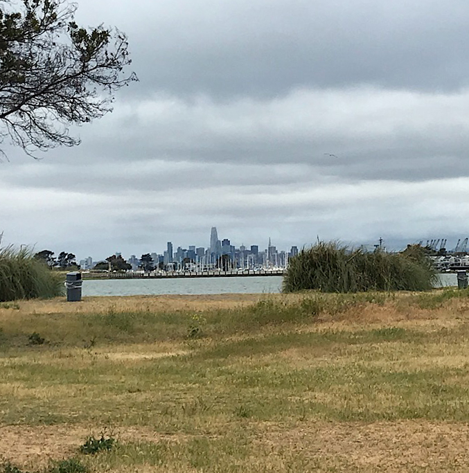 Best Alameda Beaches for Little Kids 3 crown beach view