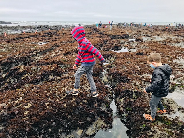 boys walking at tide pools