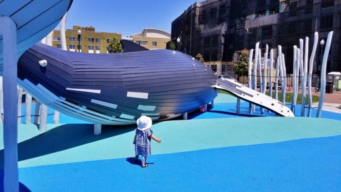 31 Things to Do With Bay Area Kids in March 6 whale park