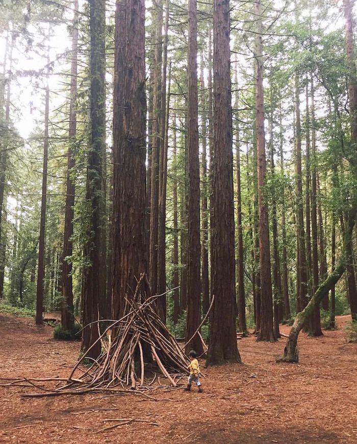 Redwood Glen trailhead