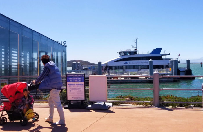 Play Tourist at San Francisco's Aquarium of the Bay & Pier 39 10 20190825 121856 1